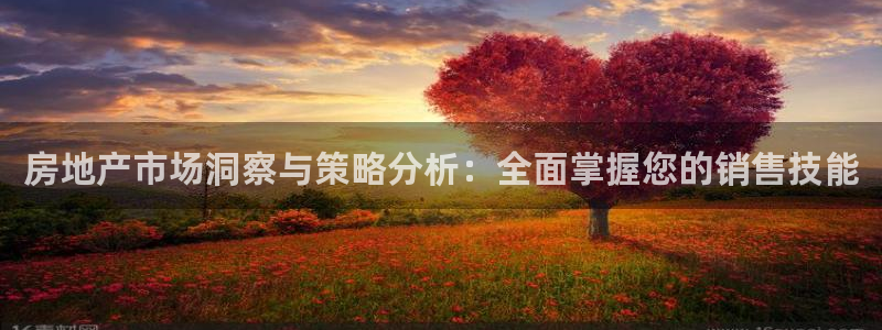 新宝5郑74OOO5：房地产市场洞察与策略分析：全面掌握您的
