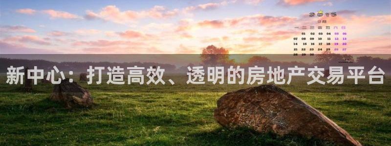 新宝5注册链接：新中心：打造高效、透明的房地产交易平台