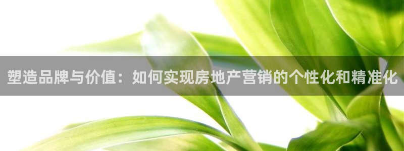 新宝5网址：塑造品牌与价值：如何实现房地产营销的个性化和精准