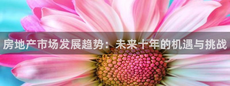 新宝5线路：房地产市场发展趋势：未来十年的机遇与挑战