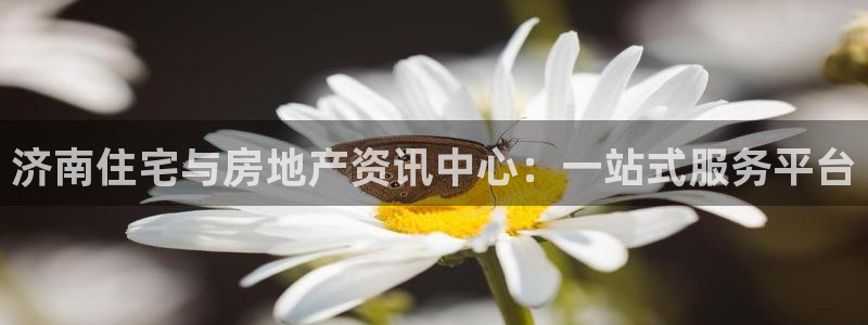 新宝5找找74OOO5：济南住宅与房地产资讯中心：一站式服务