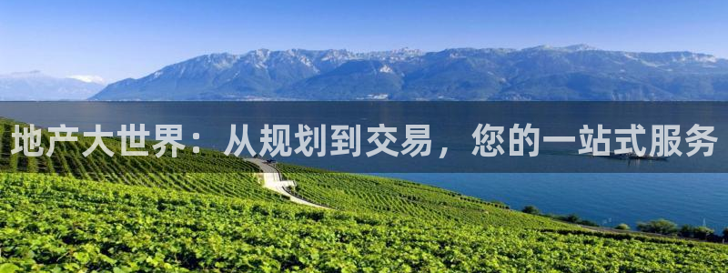 新宝5注册霸：地产大世界：从规划到交易，您的一站式服务