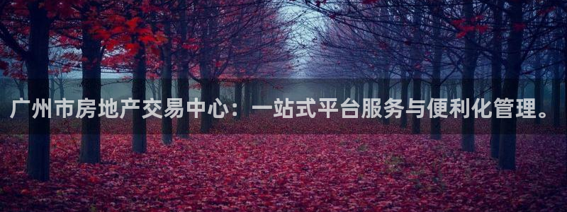 新宝5首页：广州市房地产交易中心：一站式平台服务与便利化管理