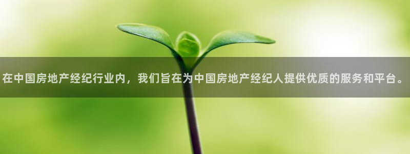 新宝5卫74OOO5：在中国房地产经纪行业内，我们旨在为中国