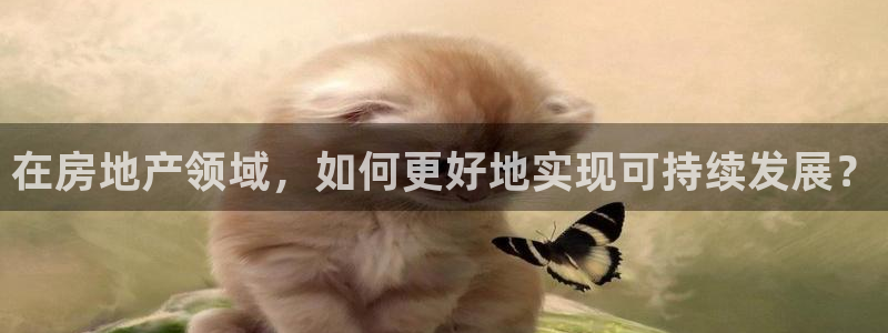 新宝5注册账号：在房地产领域，如何更好地实现可持续发展？