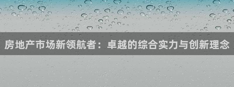 新宝5手机测速：房地产市场新领航者：卓越的综合实力与创新理念