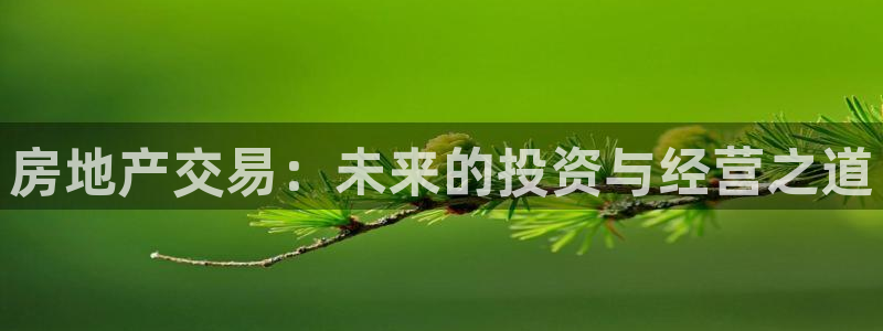 新宝娱乐5：房地产交易：未来的投资与经营之道