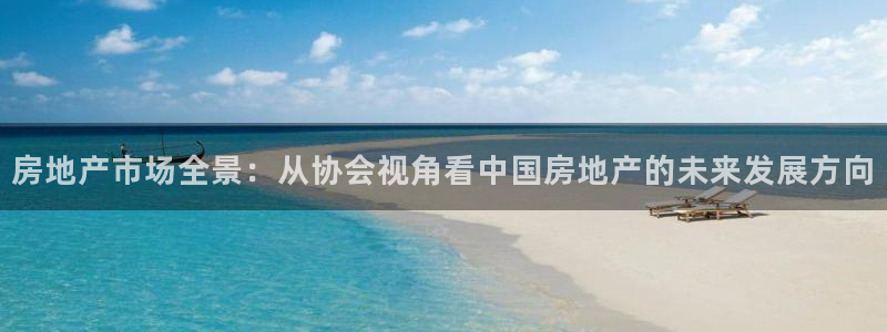 新宝5挂机软件：房地产市场全景：从协会视角看中国房地产的未来