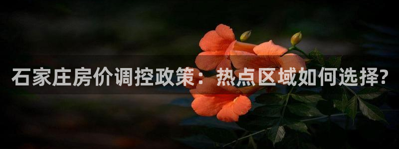 新宝5秒开：石家庄房价调控政策：热点区域如何选择?
