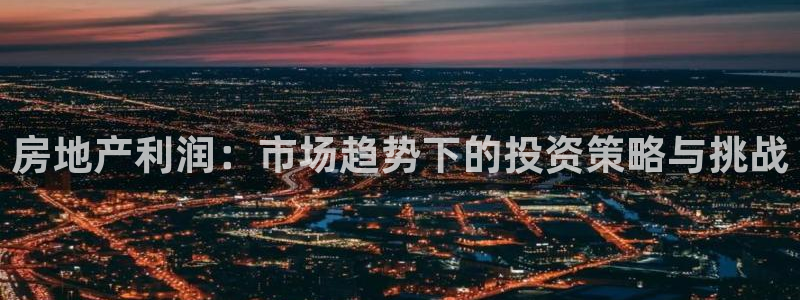 新宝5秒开：房地产利润：市场趋势下的投资策略与挑战