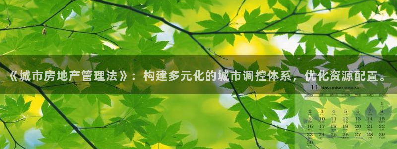 新宝5招商部：《城市房地产管理法》：构建多元化的城市调控体系