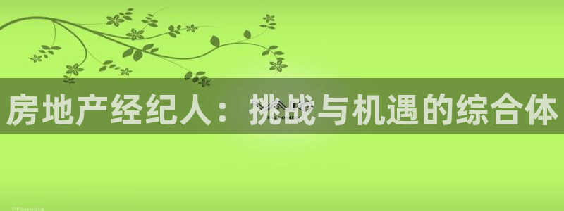 新宝5账号注册：房地产经纪人：挑战与机遇的综合体