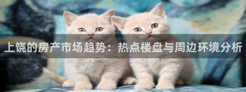 新宝5-：上饶的房产市场趋势：热点楼盘与周边环境分析