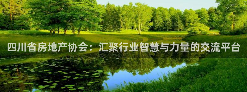新宝5官网app：四川省房地产协会：汇聚行业智慧与力量的交流