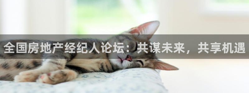 新宝h2O5O5O：全国房地产经纪人论坛：共谋未来，共享机遇