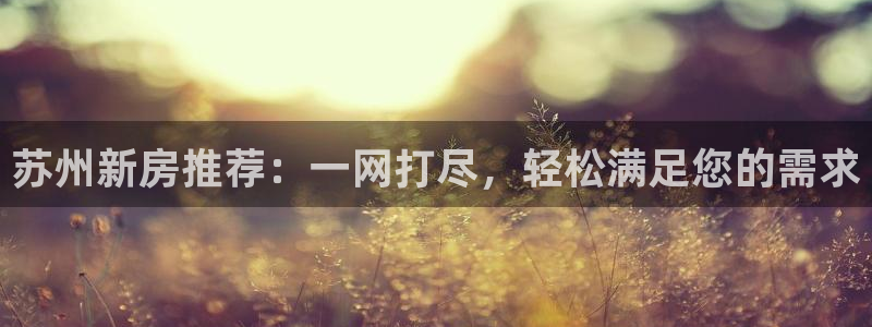 新宝5娱乐登陆