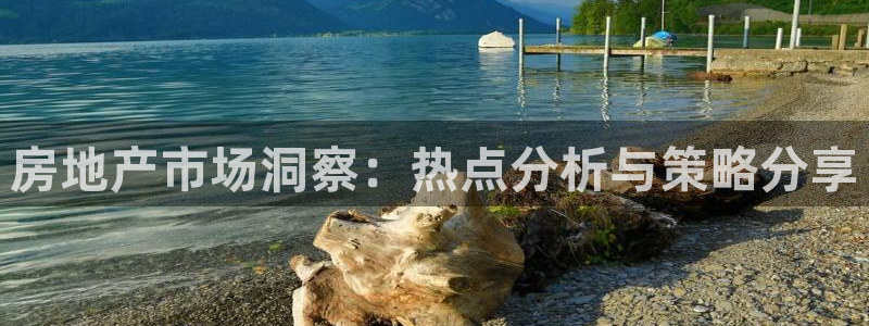 新宝5官网67五壹叁八：房地产市场洞察：热点分析与策略分享