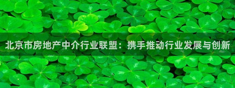 新宝5得74OOO5：北京市房地产中介行业联盟：携手推动行业