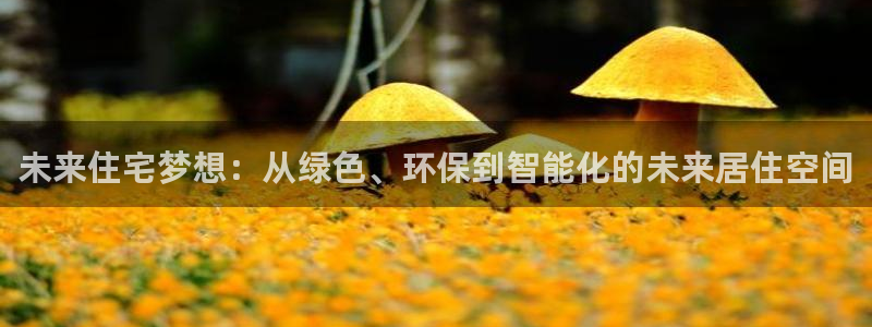 新宝5苹果手机下载