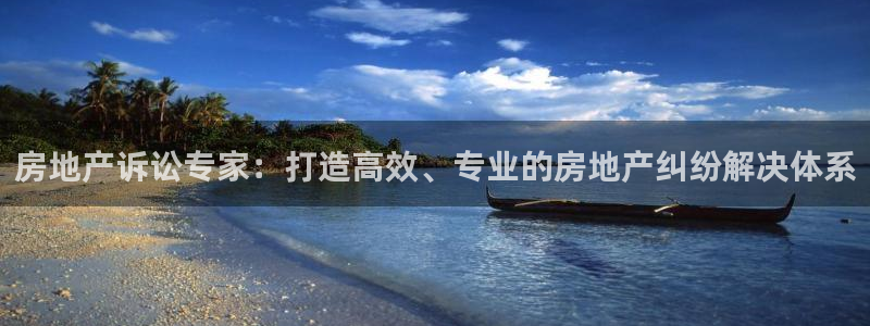 5新宝：房地产诉讼专家：打造高效、专业的房地产纠纷解决体系