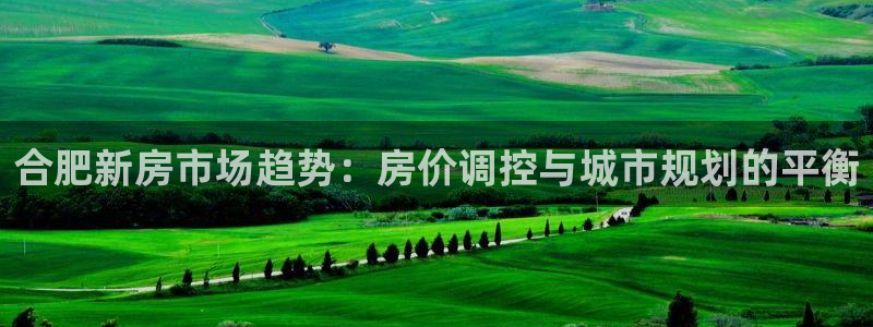 新宝5日谢29999：合肥新房市场趋势：房价调控与城市规划的
