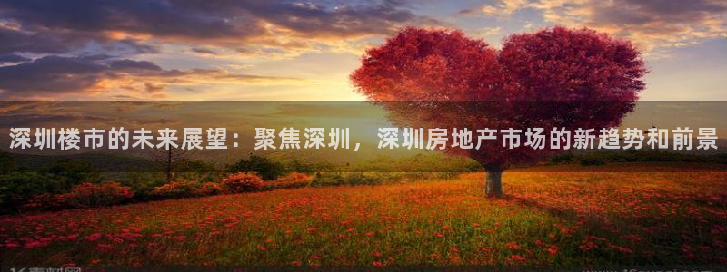 新宝5策略：深圳楼市的未来展望：聚焦深圳，深圳房地产市场的新