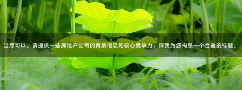 新宝5登录平台：当然可以。请提供一些房地产公司的背景信息和核