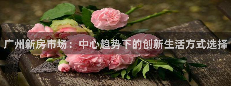 新宝5安卓版