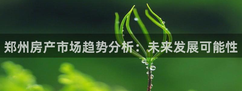 新宝5娱乐主管：郑州房产市场趋势分析：未来发展可能性