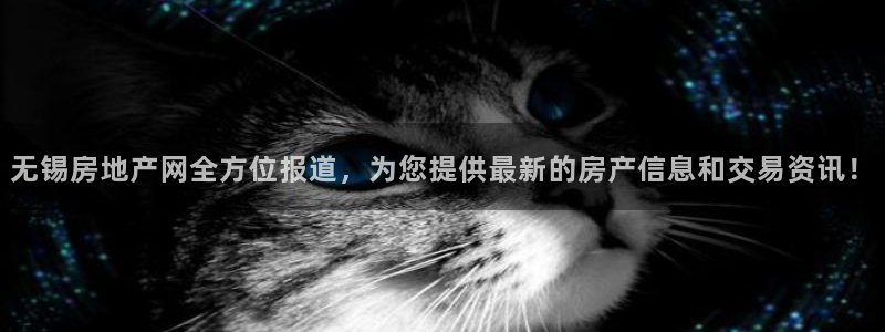 新宝5娱乐家