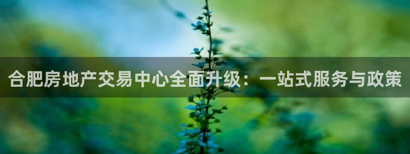 新宝5娱乐多