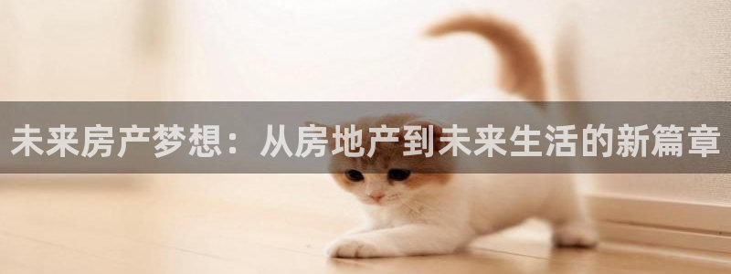 新宝rm5：未来房产梦想：从房地产到未来生活的新篇章