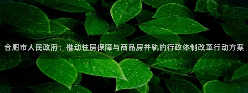 新宝5手机app：合肥市人民政府：推动住房保障与商品房并轨的