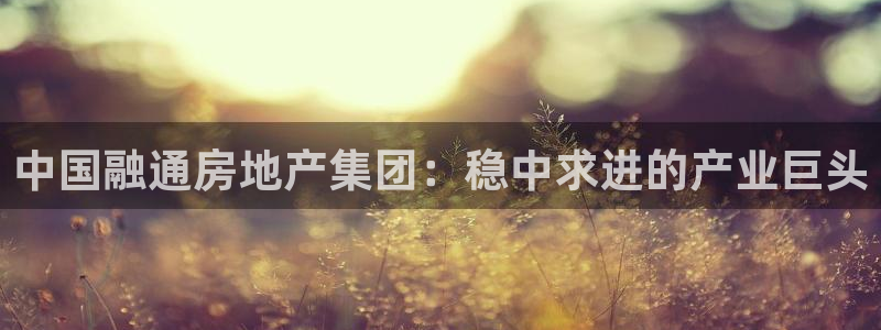 新宝5官网：中国融通房地产集团：稳中求进的产业巨头
