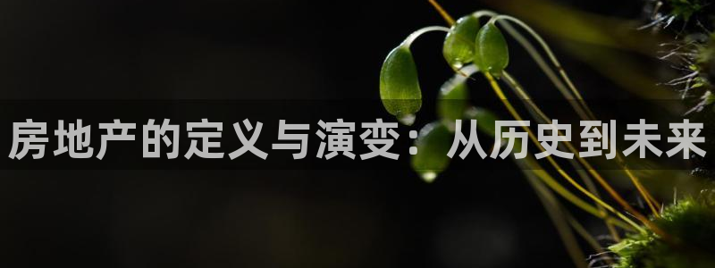 5新宝：房地产的定义与演变：从历史到未来