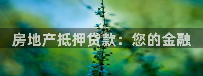 新宝5注册流程：房地产抵押贷款：您的金融