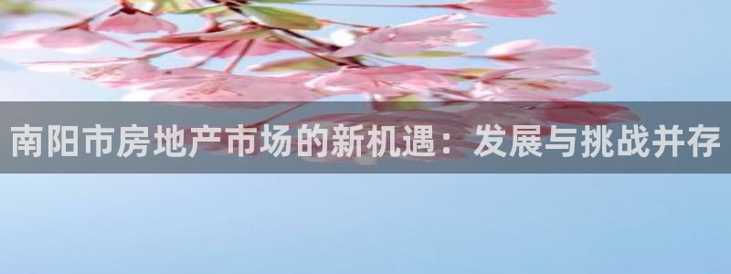 新宝5登录霸：南阳市房地产市场的新机遇：发展与挑战并存