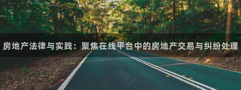 新宝5娱乐学：房地产法律与实践：聚焦在线平台中的房地产交易与