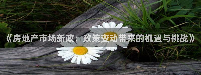 新宝5娱乐家：《房地产市场新政：政策变动带来的机遇与挑战》