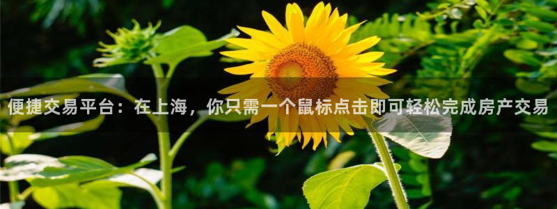 新宝5线路登录检测：便捷交易平台：在上海，你只需一个鼠标点击