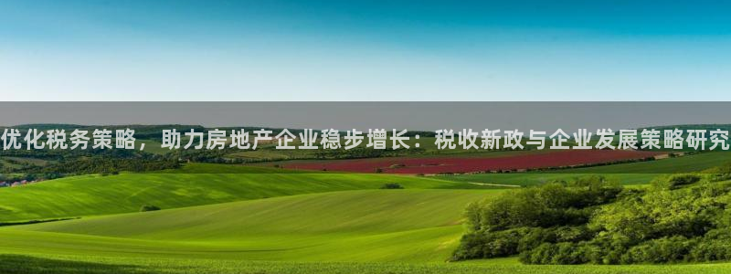 新宝5郑74OOO5：优化税务策略，助力房地产企业稳步增长：