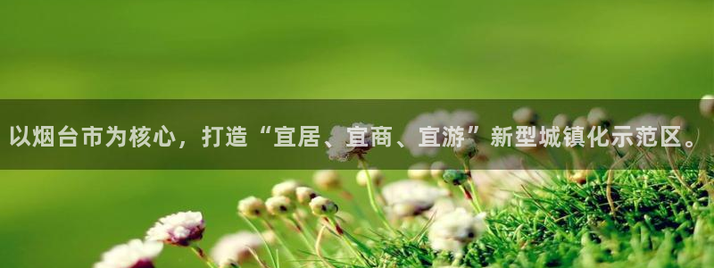 新宝5电脑