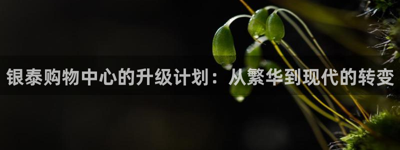 新宝rm5：银泰购物中心的升级计划：从繁华到现代的转变