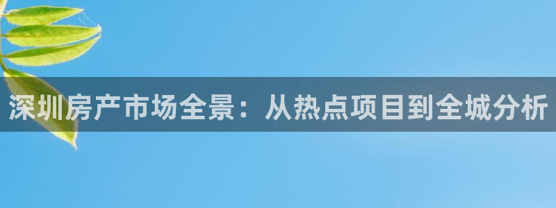 新宝5 唯一：深圳房产市场全景：从热点项目到全城分析