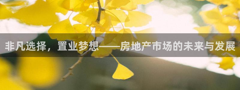 新宝娱乐5