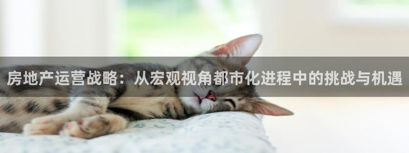 新宝5授权