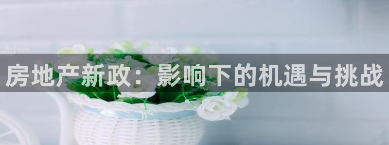 新宝5上70 667：房地产新政：影响下的机遇与挑战