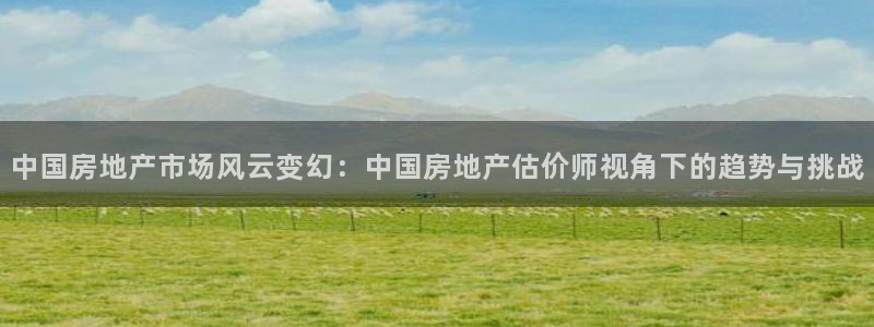 新宝5代理：中国房地产市场风云变幻：中国房地产估价师视角下的