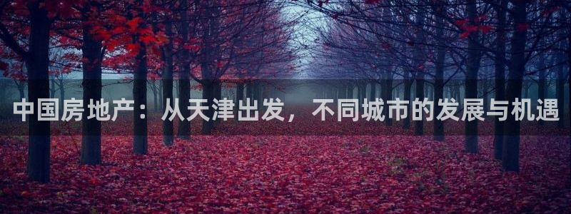 新宝5登录地址：中国房地产：从天津出发，不同城市的发展与机遇