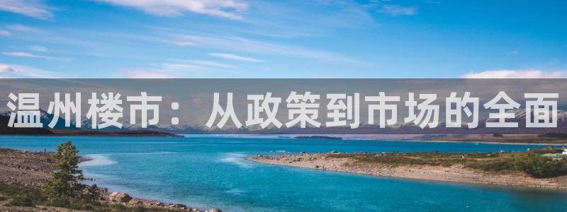 新宝5手机版登录：温州楼市：从政策到市场的全面